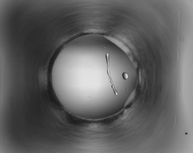 X0000089890204200707121837