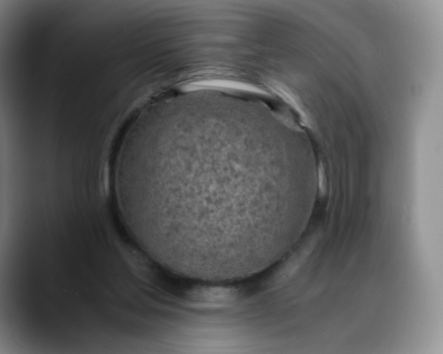 X0000089890205200707121837