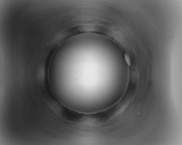 X0000089890207200707121837