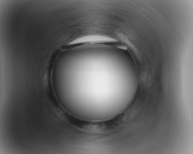 X0000089890209200707121837