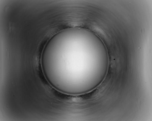 X0000089890210200707121837