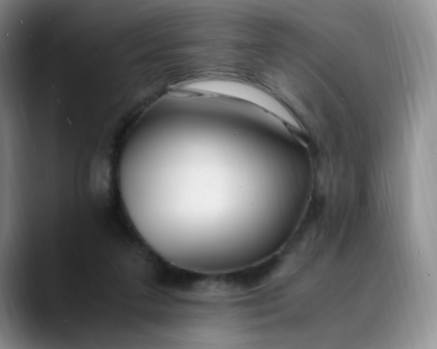 X0000089890211200707121837