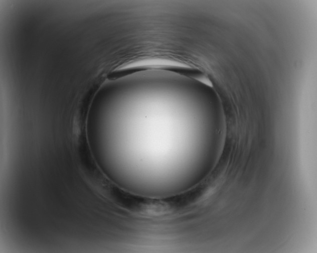 X0000089890215200707121837