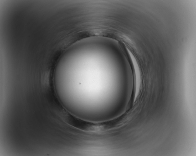 X0000089890217200707121837