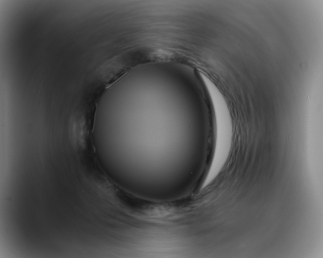 X0000089890223200707121837