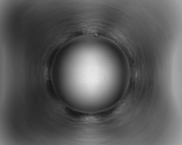 X0000089890224200707121837