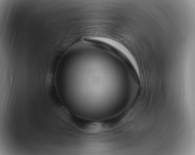 X0000089890227200707121837