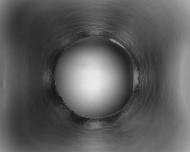 X0000089890228200707121837