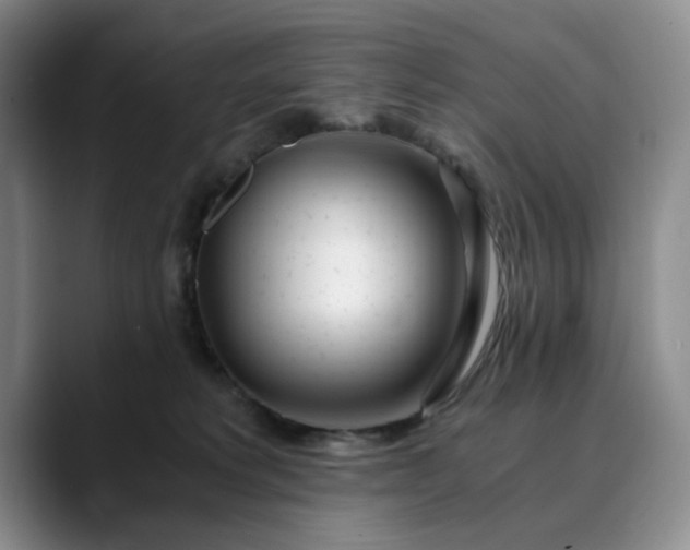 X0000089890229200707121837