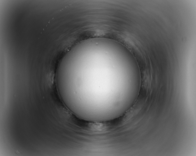 X0000089890230200707121837