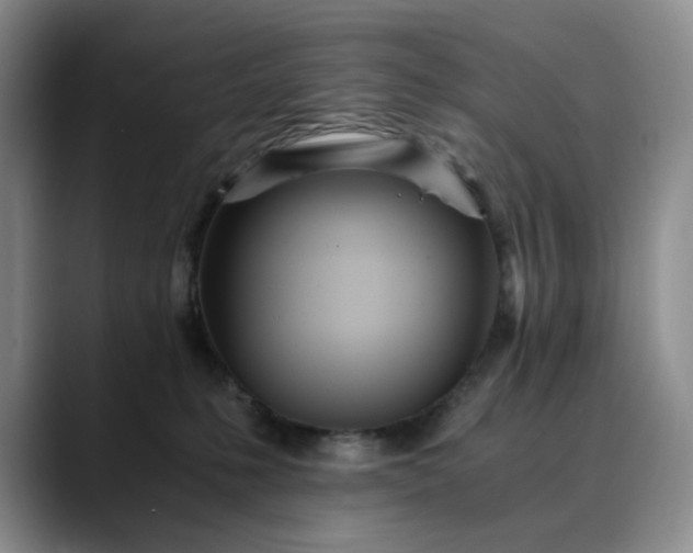 X0000089890231200707121837