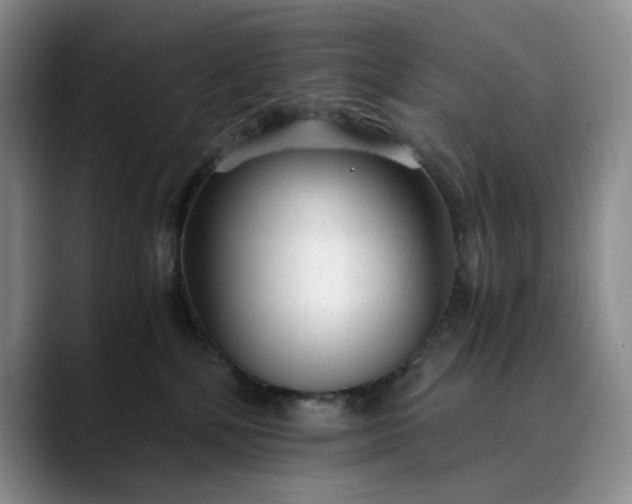 X0000089890232200707121837