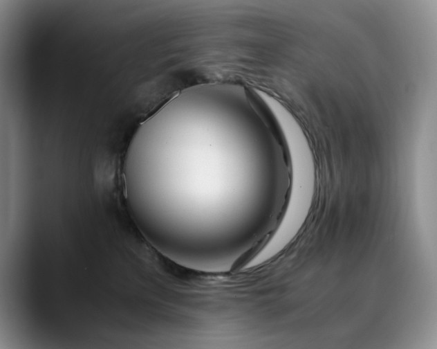 X0000089890233200707121837