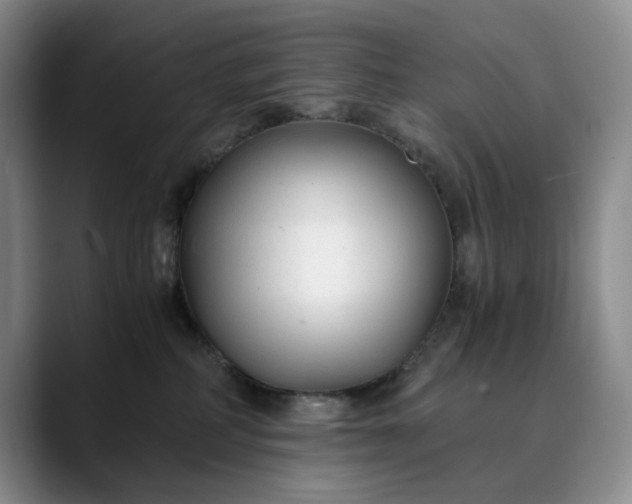 X0000089890234200707121837