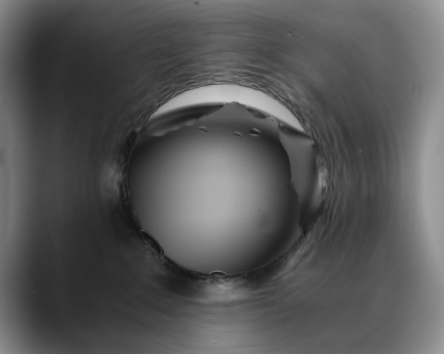 X0000089890235200707121837