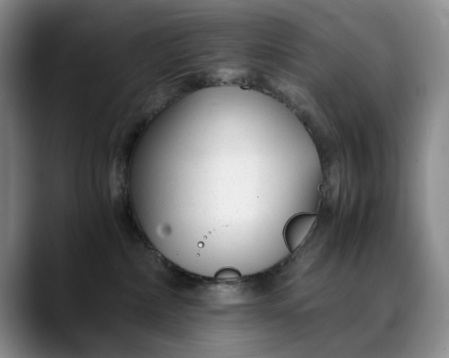 X0000089890236200707121837