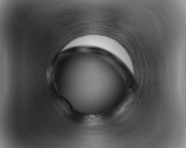 X0000089890239200707121837