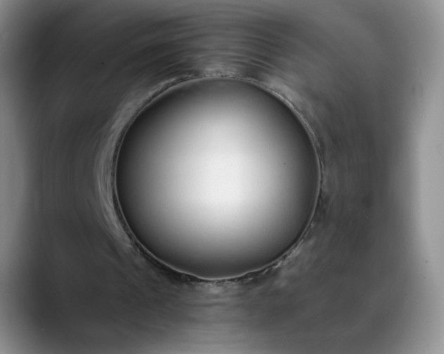 X0000089890241200707121836