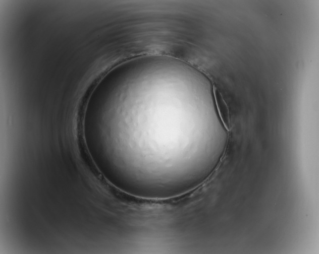 X0000089890242200707121836