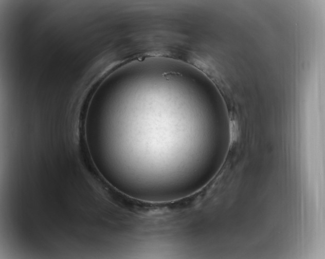 X0000089890243200707121836