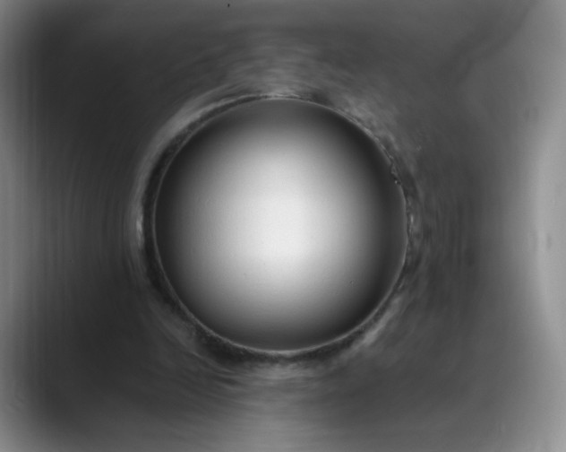 X0000089890246200707121836