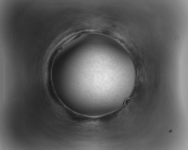 X0000089890247200707121836