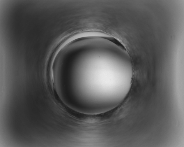 X0000089890248200707121836