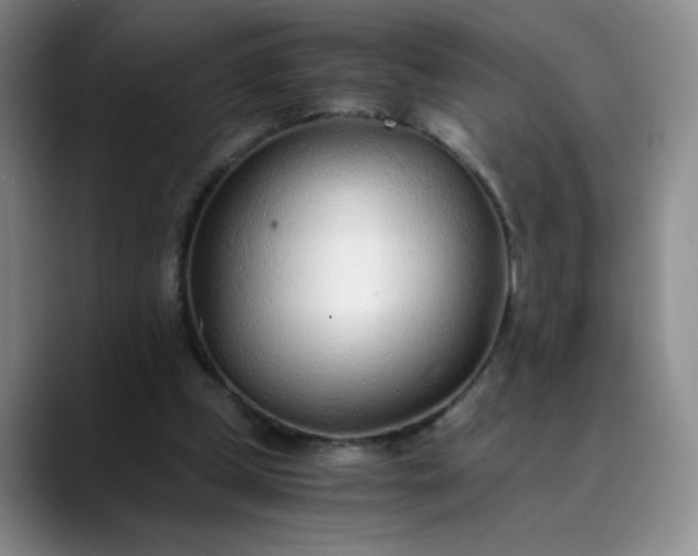 X0000089890249200707121836