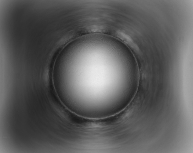 X0000089890250200707121836