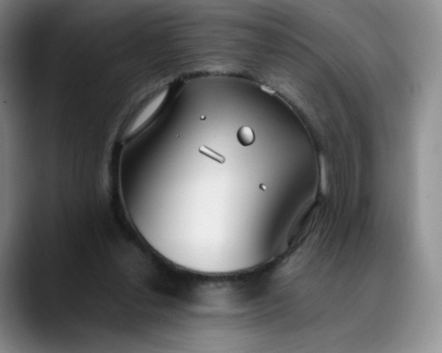 X0000089890252200707121836