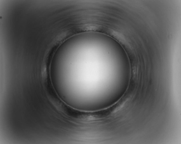 X0000089890254200707121836