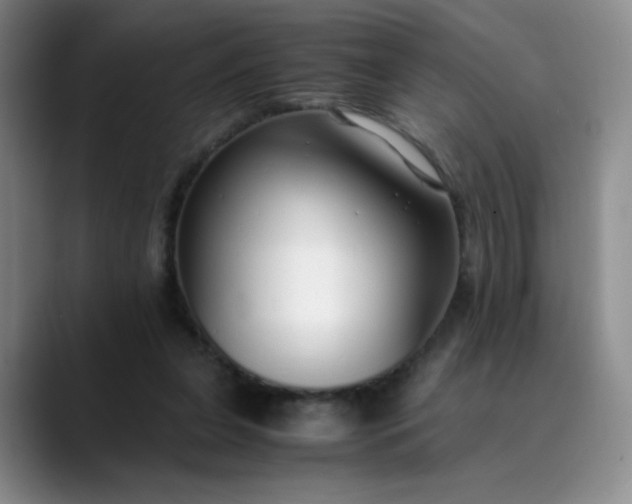 X0000089890255200707121836