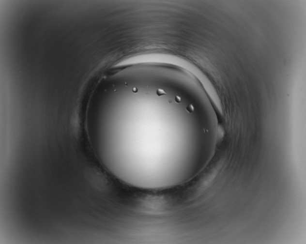 X0000089890256200707121836