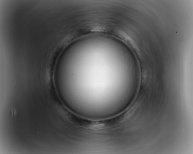 X0000089890257200707121836