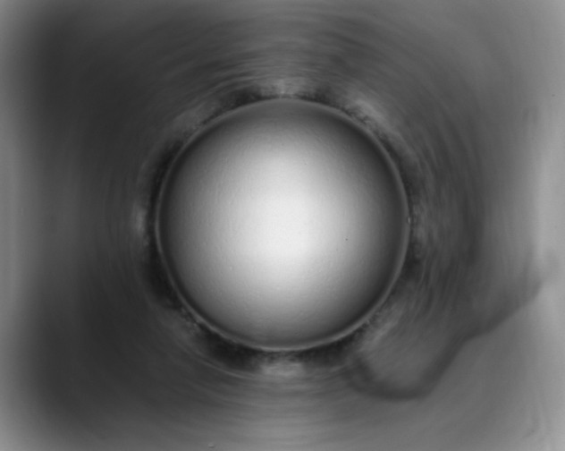 X0000089890258200707121836