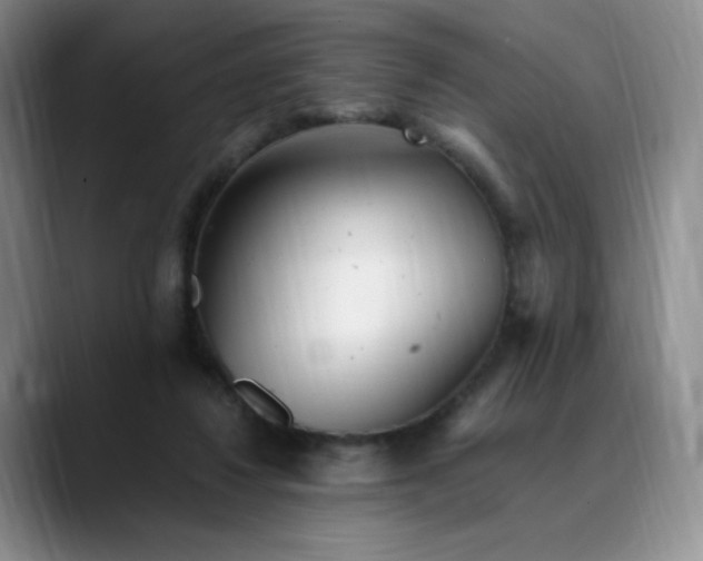 X0000089890260200707121836