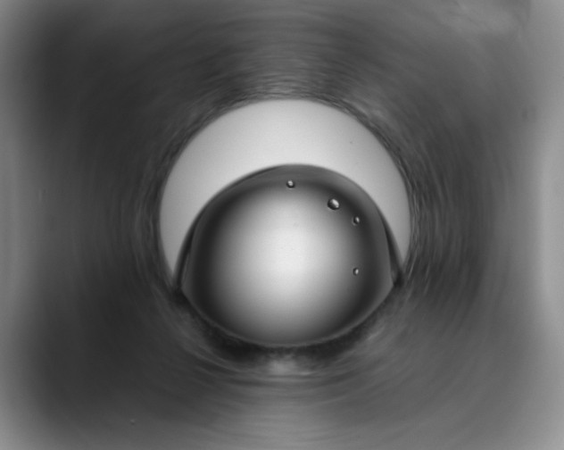 X0000089890264200707121836