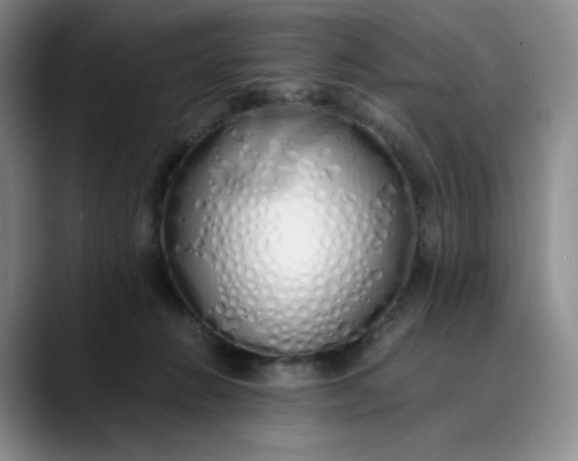 X0000089890270200707121836