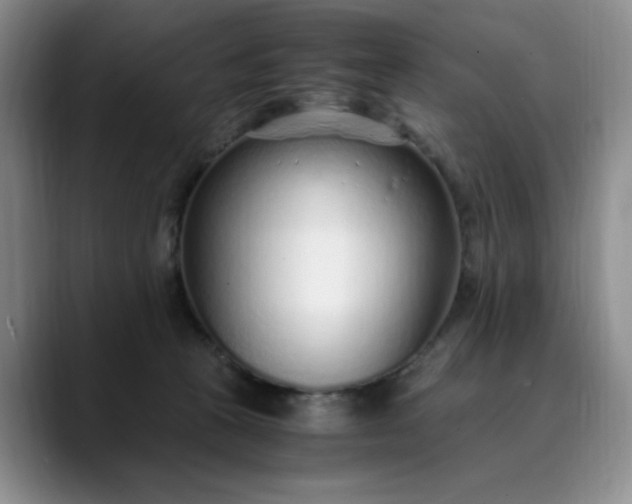 X0000089890273200707121836