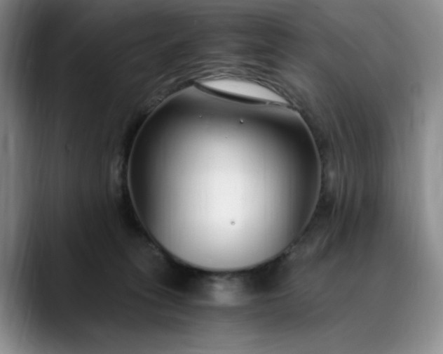 X0000089890275200707121836