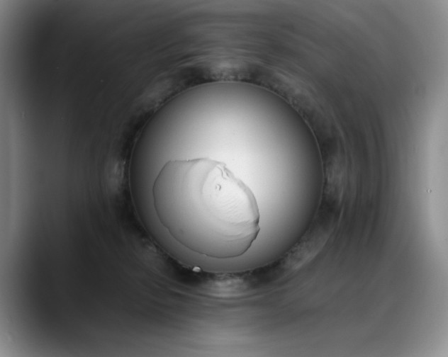 X0000089890278200707121836