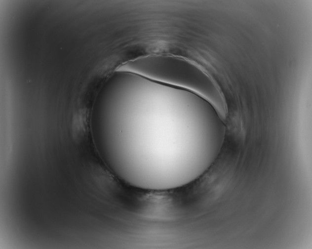 X0000089890280200707121836