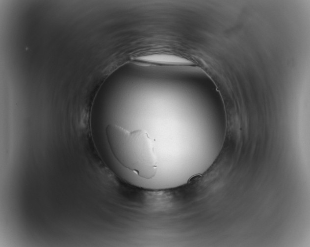 X0000089890281200707121836