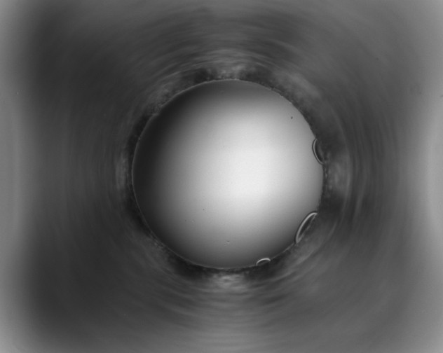 X0000089890283200707121836