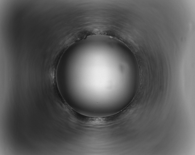 X0000089890288200707121837