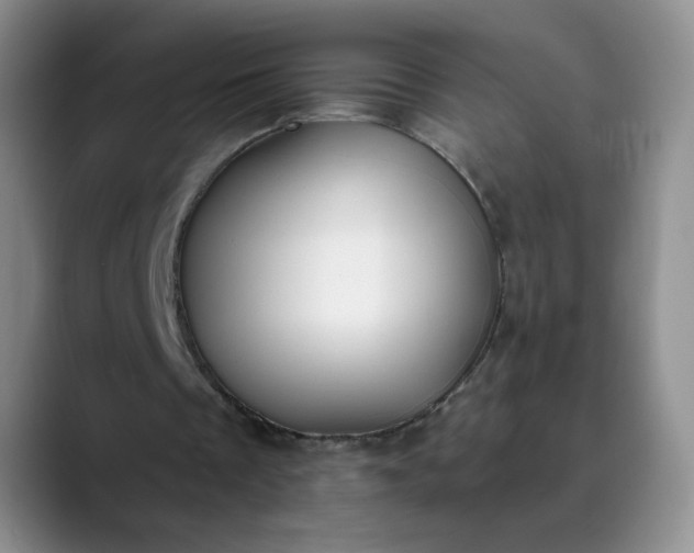 X0000089890289200707121836