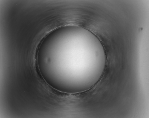 X0000089890290200707121836