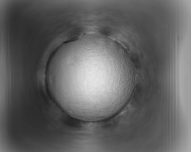 X0000089890293200707121836