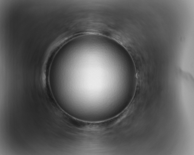 X0000089890294200707121836