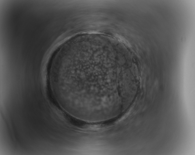 X0000089890295200707121836